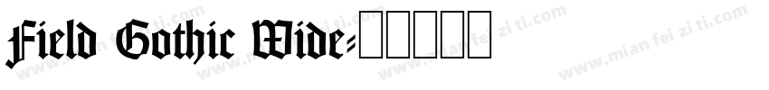 Field Gothic Wide字体转换